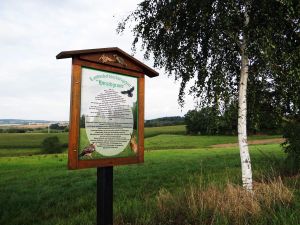 Landschaftschutzgebiet "Hirschgrund" | Rechte: Stadt Lugau